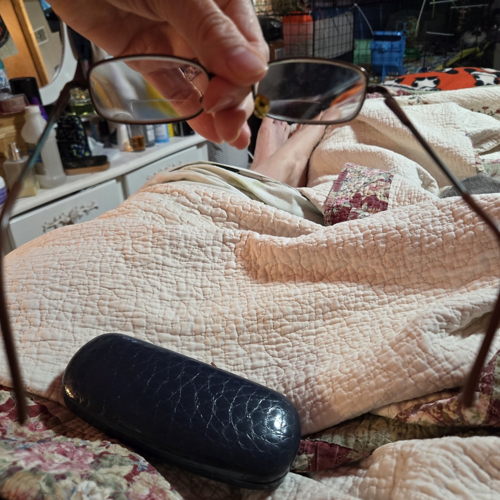 Stylish Brown Rectangular Glasses With Case - image 2